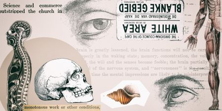 Sloppy race science or sensationalist journalism?