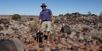 elephant-crossing-karoo