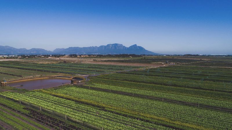 Draining the truth — why Cape Town’s ‘groundwater crisis’ is highly exaggerated