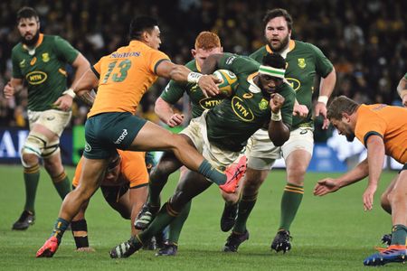 South African rugby made progress, but now optimum results are needed