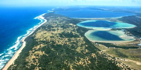South Africa’s wetlands are disappearing faster than we can restore them