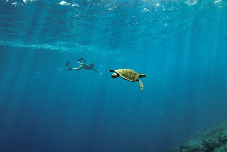 Entering the lair of the dragons to answer the call of a tropical adventure in Indonesia