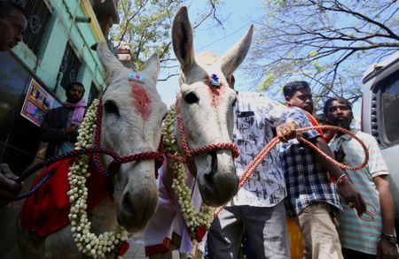 A Valentine's Day donkey marriage, and more from around the world