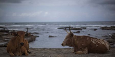 There is an urgent need to protect marine intangible cultural heritage in South Africa, and Africa