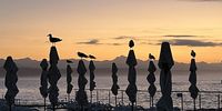 Tsitsikama dawn patrol. Photographer: Stephen Price