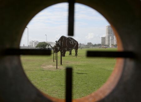 This week we’re listening to: A riveting and disturbing foray into South Africa’s rhino-poaching crisis