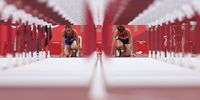 TOKYO, JAPAN - AUGUST 01: Andrea Carolina Vargas (L) of Team Costa Rica and Asuka Terada of Team Japan prepare to compete in the Women's 100m Hurdles Semi-Final on day nine of the Tokyo 2020 Olympic Games at Olympic Stadium on August 01, 2021 in Tokyo, Japan. (Photo by Patrick Smith/Getty Images)