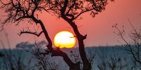 Bushy African winter sunrise. Image: Ian Merrington 