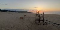 Lifeguards chair on Mbotyi beach.