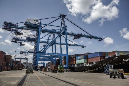 Smugglers carve destructive niche in Africa’s rosewood timber resources