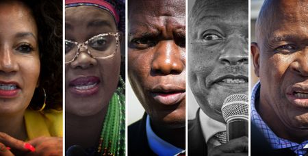 Who’s who in the ANC’s No 2 zoo? Princess, Ozzy and the rest of the motley crew