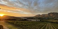 Sunset in the Hemel en Aarde valley. Photographer: Pierre Nortje