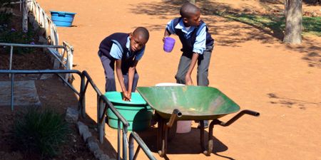 Less than honourable treatment at the hands of Parliament’s Education Committee