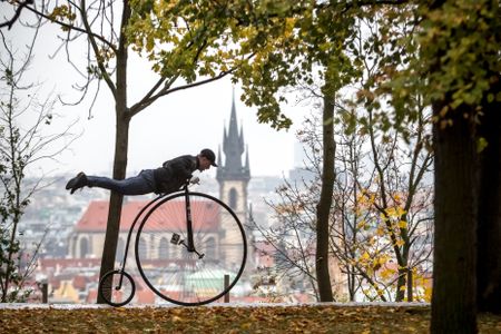 Last week in pictures - 09 November 2019