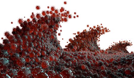 South Africans can now track coronavirus concentrations in local sewerage systems thanks to new dashboard