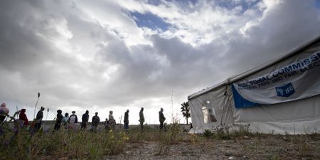 Patriotic Alliance piles pressure on DA, ANC as its growth surge continues in Western and Eastern Cape wards