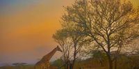 At Royal Jozini Game Reserve in ESwatini 2.9.2021.