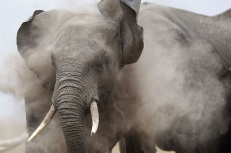 FIVE MINUTES: South Africa