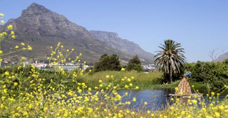 River Club: Utopian fantasies of a high-tech concrete jungle in a city of broken infrastructures and fractured communities