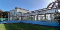 Behind the fence: How Gqeberha’s Pearson Conservatory is being kept alive
