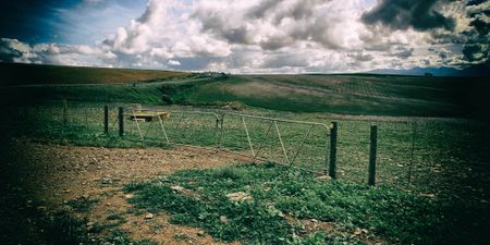 East London attorney wins back ownership of farm after protracted court battle