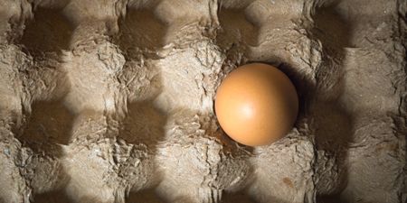 Poultry Association says nation’s eggs and chicken — when properly cooked — are safe