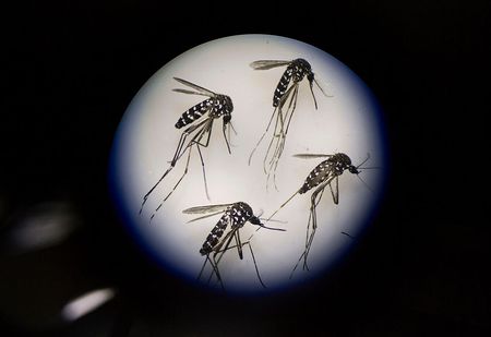 Three things you should know about mosquitoes