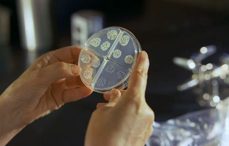 US suspends billions in funding for SA clinical research after new foreign grants policy