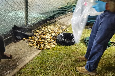 Police seize R400,000 in abalone as poachers exploit favourable full moon conditions