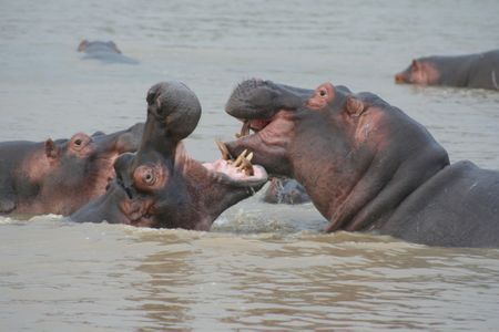 Department of Environment, Forestry and Fisheries blows nearly R3bn in irregular expenditure