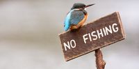 No Fishing Allowed. Photographer: Vicki Street