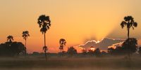 Hwange. Photographer: Eric Meyer