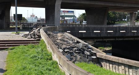 ‘No chance’: Road rubble allegedly buries Gqeberha riverside kingfisher nests