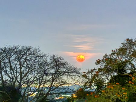 Mountain herbs and hardbody chicken under a Wild Dog moon — this is how KZN is cooking