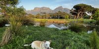 A perfect day in Cape Town. Photo: Jenni Bessesen <br> <br>