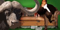 Ramaphosa’s political and business backers dig in as Phala Phala scandal deepens 