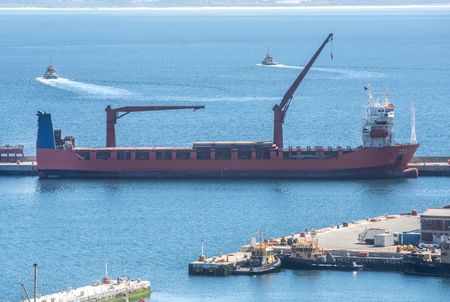 State Defence, SANDF silent in face of speculation Lady R was shipping Russian weaponry 