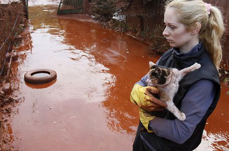 Toxic goulash wreaks environmental havoc