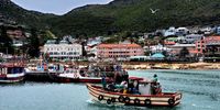 Kalk Bay Harbour - catch of the day. Image: Anneen Steyn-Durand 