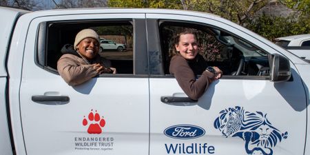 In the lions’ den – The women who count Kruger’s big cats