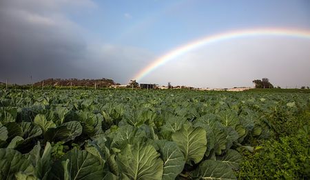 GroundUp: Protecting the precious Philippi aquifer