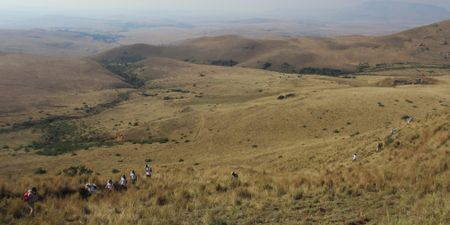 Twitter abuse continues in Mabola Coal Mine saga