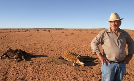 Weather service sounds El Niño alarm for North-East, including Kruger Park