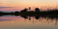 Full moon setting at dawn over the Okavango Delta.