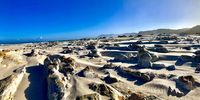 Cape Point Nature Reserve - Olifantsbos. CREDIT: Martin Scholtz 