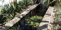 The tranquil garden, for coffee and musing/pondering, when the weather allows. (Photo: J Brooks Spector)