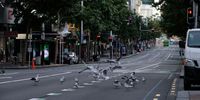 AUCKLAND, NEW ZEALAND - MARCH 26: Seagulls take over Queen Street in Auckland''s CBD after lock down has come into force with only essential workers and people exercising are allowed out on March 26, 2020 in Auckland, New Zealand. New Zealand has gone into lockdown as the government imposes tough restrictions to stop the spread of COVID-19 across the country. Prime Minister Jacinda Ardern on Wednesday declared a State of National Emergency which came into effect at midnight along with lockdown measures. An Epidemic Notice has also been issued to help ensure the continuity of essential Government business. Under the COVID-19 Alert Level Four measures, all non-essential businesses are closed, including bars, restaurants, cinemas and playgrounds. Schools are closed and all indoor and outdoor events are banned. Essential services will remain open, including supermarkets and pharmacies. Lockdown measures are expected to remain in place for around four weeks, with Prime Minister Jacinda Ardern warning there will be zero tolerance for people ignoring the restrictions, with police able to enforce them if required. New Zealand currently has 205 confirmed cases of COVID-19. (Photo by Bradley White/Getty Images)