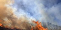 A controlled fired managed by CT firefight. Photographer: Jeaniene Fekker.