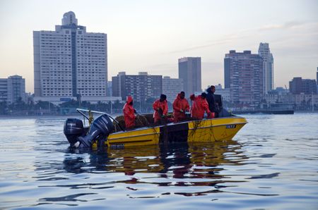 Hooked on safety: Fewer nets, but more baited hooks – the price of keeping KZN’s bathers safe from sharks