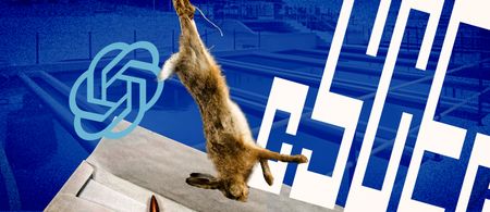 KwaZulu-Natal water utility slapped with costs order in dead rabbit case